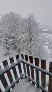 Nikolic 2 Apartmen talvel