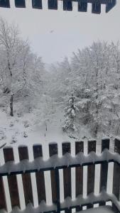 Nikolic 2 Apartmen talvel