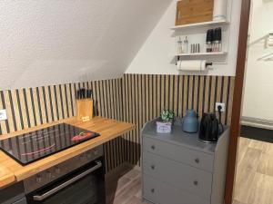Kuchyň nebo kuchyňský kout v ubytování Ferienwohnung Elbglück + 16 fotografií