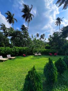 Zahrada ubytování Island tropical retreat + 50 fotografií