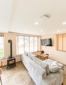 Μια τηλεόραση ή/και κέντρο ψυχαγωγίας στο Apartament Podgórze
