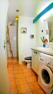 a bathroom with a toilet and a washing machine at Duplex Toti la - TropicalKaz Guadeloupe in Bouillante
