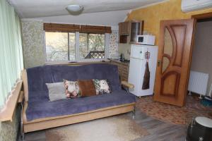 a living room with a blue couch and a refrigerator at Apartments na Krasnoy armii 42 in Baltiysk