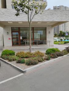 a building with a tree in the front of it at Marina 1 piso 23 in Coquimbo