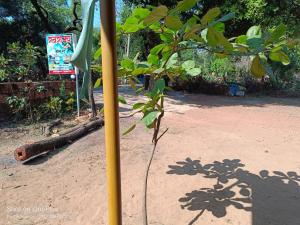 Jardí fora de Sindhu Swarajya