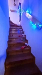 诺支Trento- Monte Bondone Appartamento tipico di montagna的相册照片