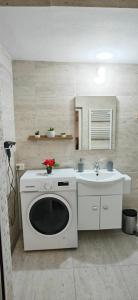 a kitchen with a washing machine and a sink at Casa Ramo in Râşnov