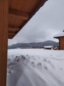 Príroda v okolí apartmánu