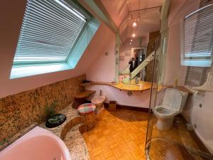 a bathroom with a shower and a toilet and a sink at Colmar guesthouse in old town 6 people in Colmar +23 photos