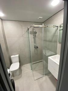 a bathroom with a glass shower and a toilet at Chirie apartament in Căuşeni