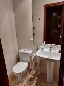 a bathroom with a toilet and a sink at Hostal Braseria Missamaroi in Tivissa +42 photos