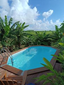 Hồ bơi trong/gần Le Paradis des Colibris Gîte créole avec piscine table dhôtes et nature à Anse Bertrand