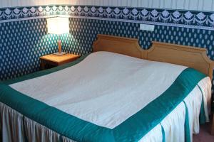 Postel nebo postele na pokoji v ubytování Hotel Druzhba