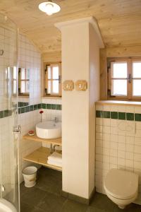 a bathroom with a sink and a toilet and a shower at Brandluckner Nesterl in Heilbrunn