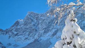 Apart-Alpenglück talvel