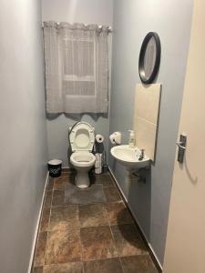 a bathroom with a toilet and a sink at Hilo Family Accomodation in Swakopmund