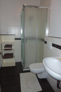 a bathroom with a shower and a toilet and a sink at Ferienwohnung Willner in Kastl