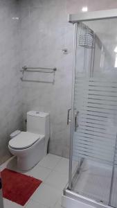 a white bathroom with a toilet and a shower at Topaz Bed & Breakfast Hotel in San Jose