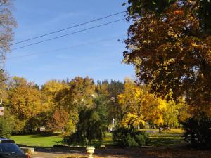 a park in the fall with colorful trees at B&B La Roseraie - private entrance & garden in Almere