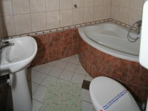 Kúpeľňa v ubytovaní Apartments Vrata Baranje