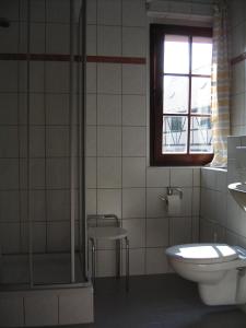 a bathroom with a shower and a toilet and a sink at Hotel Pension zu Dresden Altpieschen in Dresden
