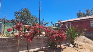 a fence with red flowers in front of a house at Panul Ovalle in Panulcillo