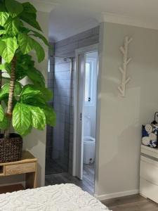a bathroom with a shower and a toilet and a plant at Private Granny flat - Guesthouse in Gold Coast