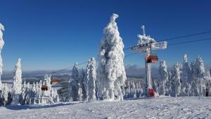 a ski lift with snow covered trees on a ski slope at Apartment Klínovec SUN - garážové parkování in Loučná pod Klínovcem