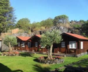 ein Haus mit einem Baum davor in der Unterkunft Etna Hut in Nicolosi