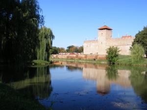 una vista de un río con un castillo en el fondo en Novák Apartman, en Gyula