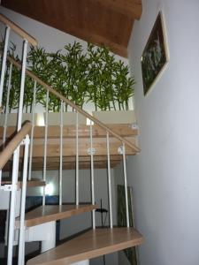 Una escalera en una casa con una planta en Casa Yami en Padua