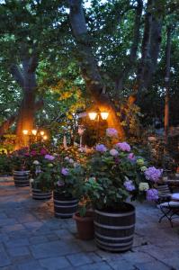 a group of pots of flowers in a garden at Pelias Hotel in Portariá