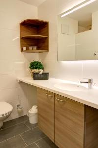 a bathroom with a sink and a toilet and a mirror at Landhaus Bennstedt in Bennstedt