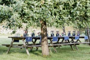 Zahrada ubytování Abbaye du Palais