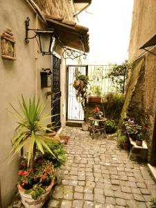 Zahrada ubytování Vistalago Guesthouse