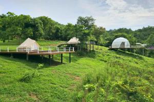 a group of tents in a field with trees at The Hilltop Erawan in Si Sawat