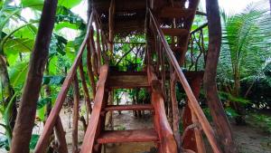 Aed väljaspool majutusasutust Sigiriya Rock View Tree house