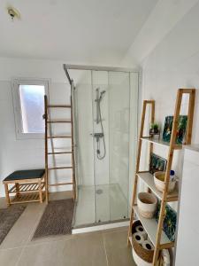 a bathroom with a shower with a glass door at Appartement HARMONIE in Saint-Florent +6 photos