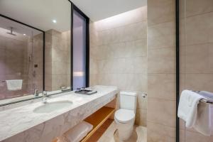 成都Chengdu Yunhao High-altitude Hotel的带水槽、马桶和镜子的浴室