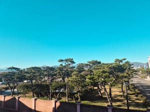 Příroda nedaleko vily