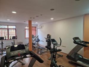 Fitness centrum a/nebo fitness zařízení v ubytování Danube Hotel & Spa