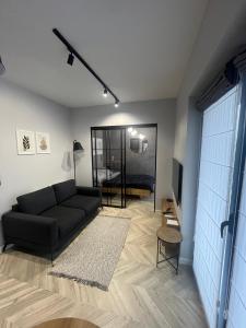Гостиная зона в Orlik Private Apartment - z widokiem na Śnieżkę, blisko tras turystycznych i wyciągów +3 фотографии