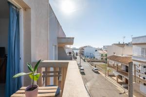 Příroda nedaleko apartmánu + 6 fotografií