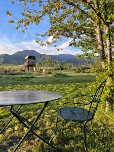 a picnic table and a chair in a field at Ferme de la Rose in Rosans