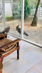 Foto sihtkohas Panadura asuva majutusasutuse Mbeach Nest galeriist