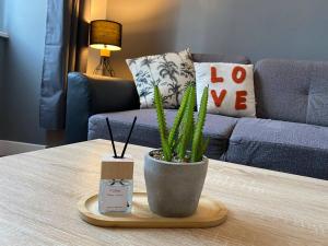 Posezení v ubytování Le Piton - Appartements