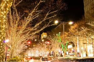 une rue de la ville avec des arbres décorés avec des lumières de Noël dans l'établissement 新規割引表参道原宿高級住宅地の贅沢隠れ家一軒家貸切駅ショッピング徒歩2分3路線浅草銀座直通, à Tokyo