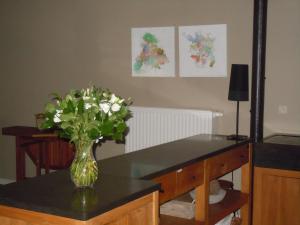 wazon kwiatów na stole z lustrem w obiekcie B&B De Pepelinck w mieście Denderwindeke