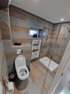 a small bathroom with a toilet and a shower at Gîte de la Tuilerie in Rougemont +15 photos