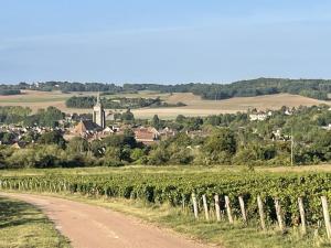 a dirt road next to a vineyard and a village at Chez leontine in Villenauxe-la-Grande